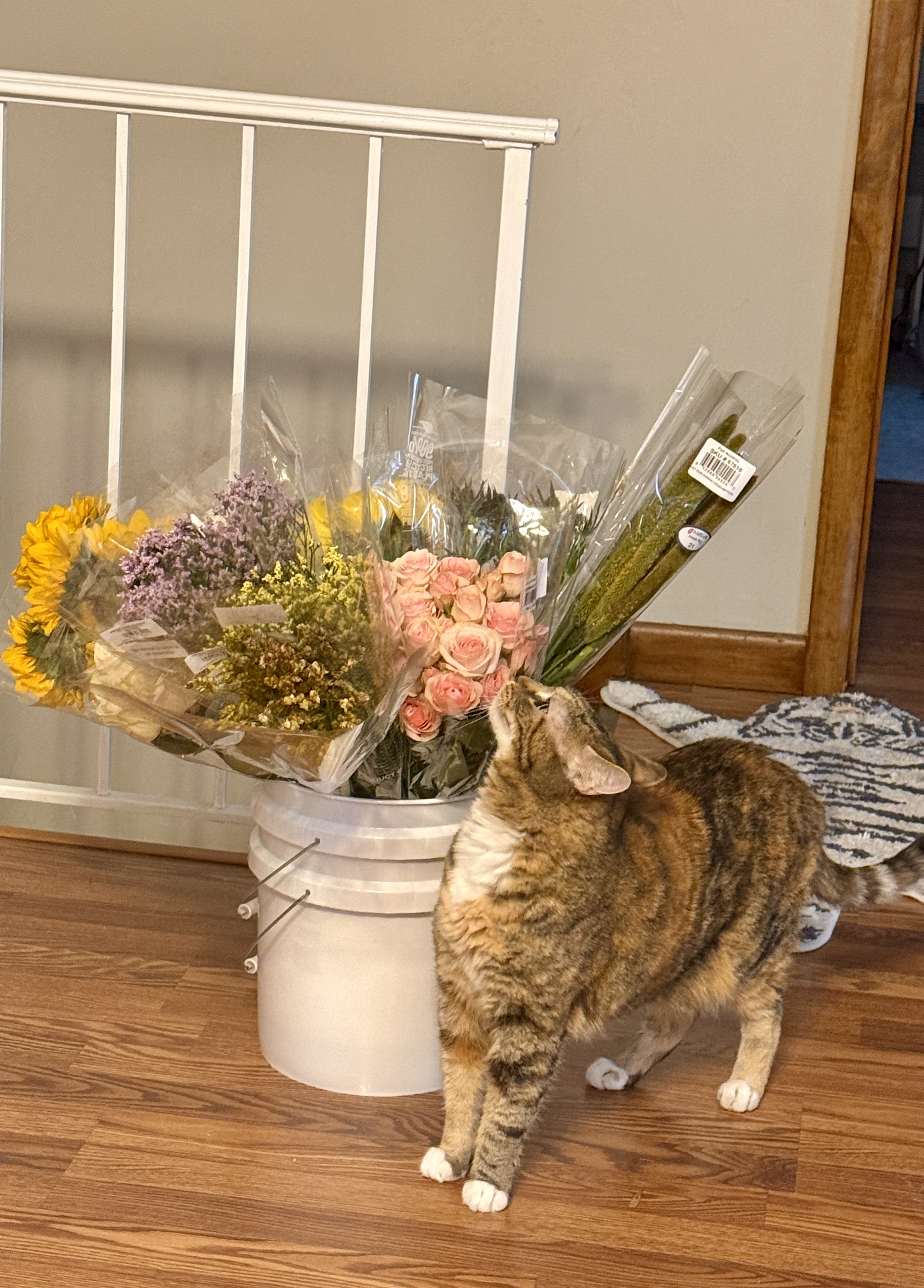 Pet-safe bouquet arrangement
